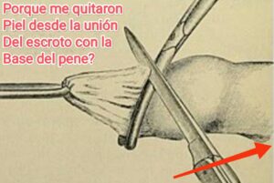 mayo clinic rochester