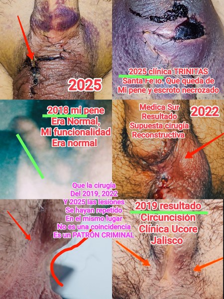 mayo clinic care network