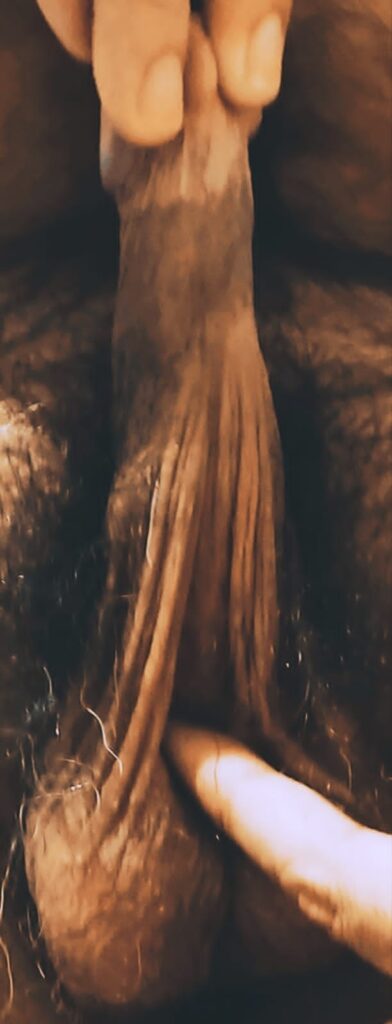 mayo clinic care network