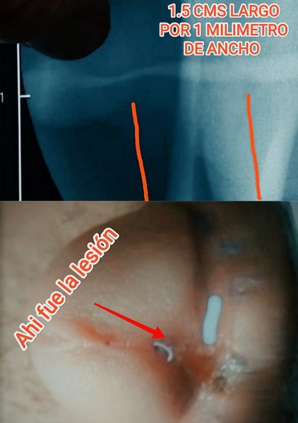 mayo clinic care network