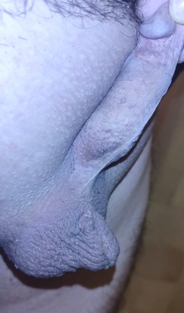 mayo clinic care network