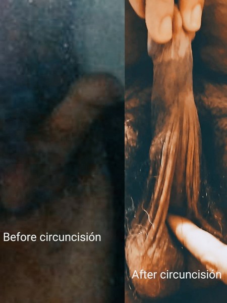 mayo clinic care network