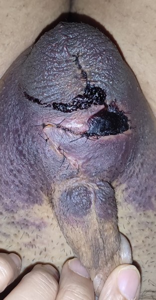 mayo clinic care network